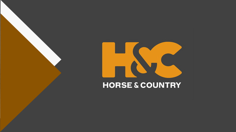 H & C TV
